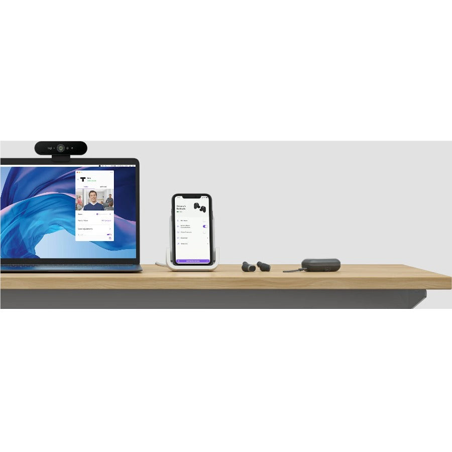 ZONE TRUE WIRELESS EARBUDS GRAPHITE