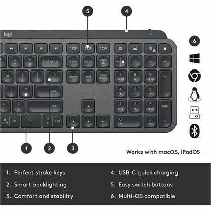 MX KEYS FOR BUSINESS GRAPHITE LOGI BOLT