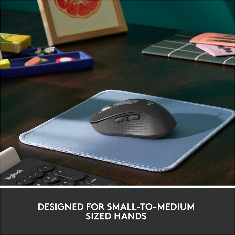 SIGNATURE M650 FOR BUSINESS WL MOUSE BOLT GRAPHITE