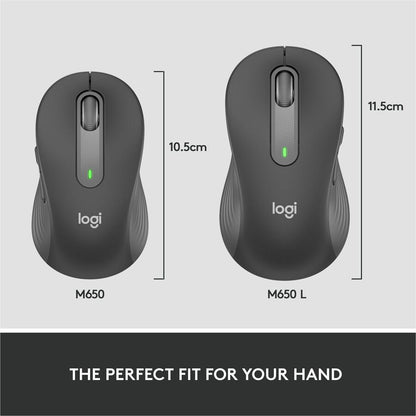 SIGNATURE M650 FOR BUSINESS WL MOUSE BOLT GRAPHITE